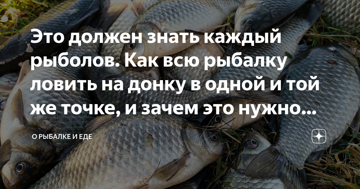 Это должен знать каждый рыболов. Как всю рыбалку ловить на донку в ...