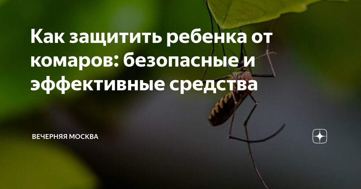 Как отпугнуть комаров: природные средства против комаров