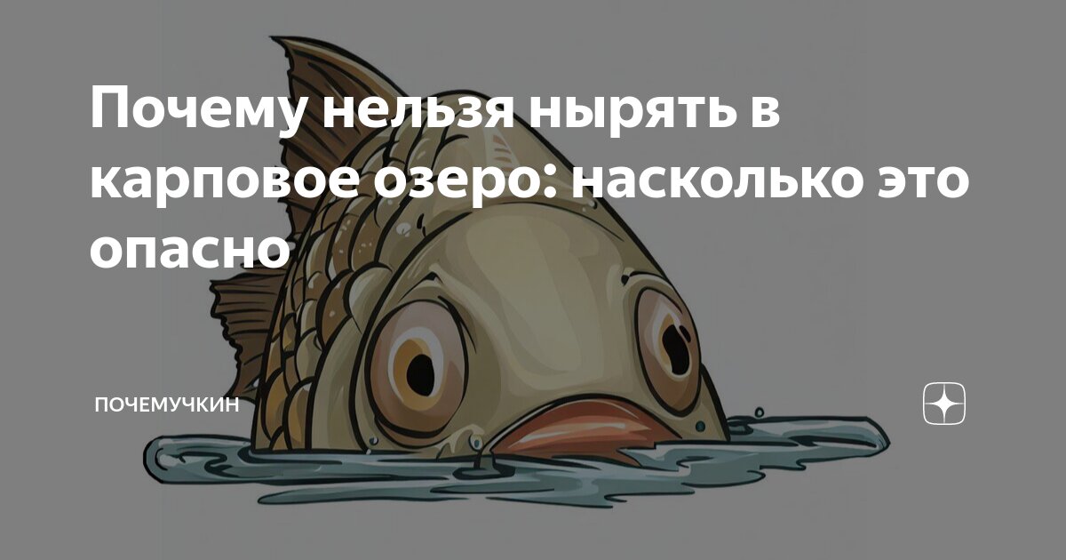 Почему нельзя нырять в карповое озеро: насколько это опасно ...