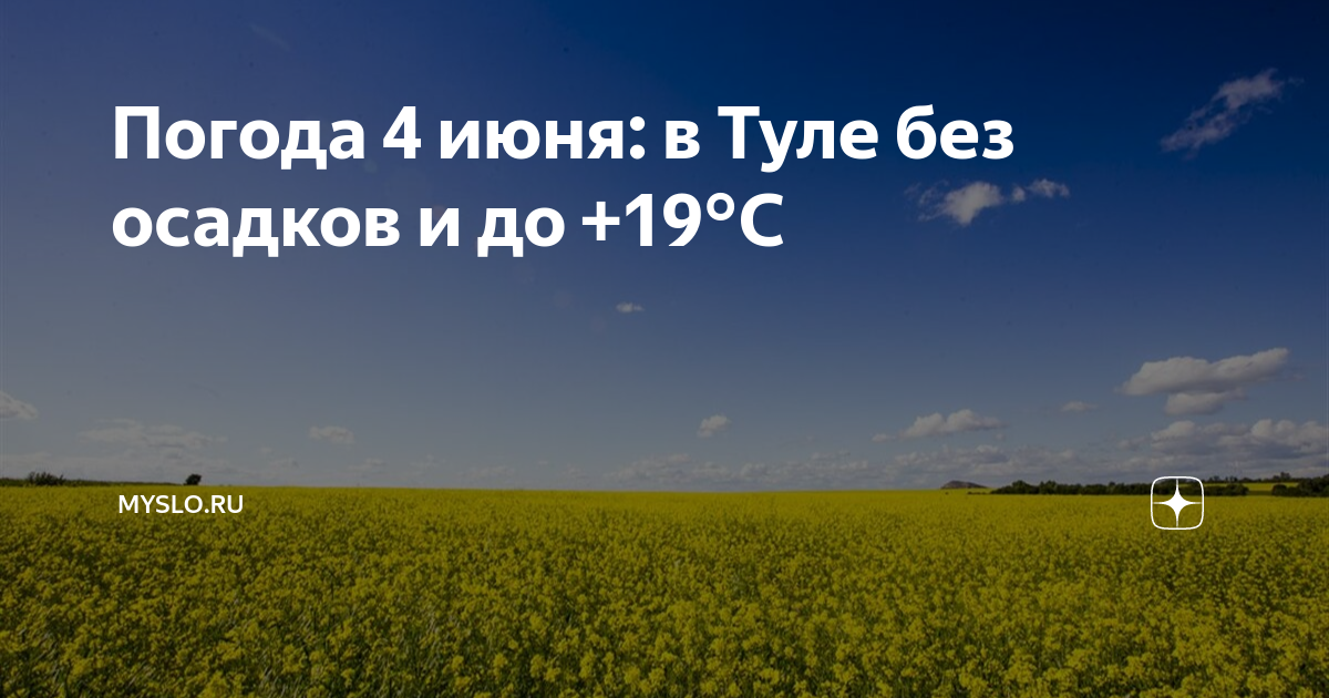 Погода 4 июня: в Туле без осадков и до +19°С | Myslo.ru | Дзен
