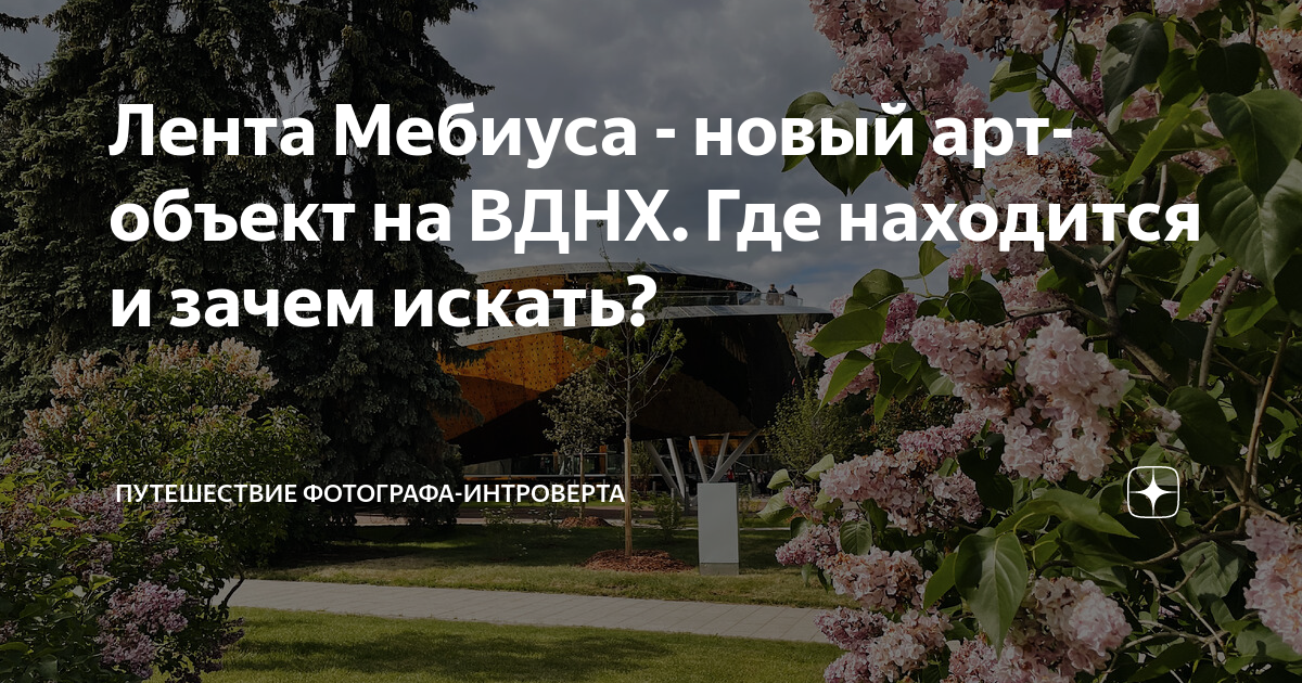 Где находится энкодерная лента в принтере