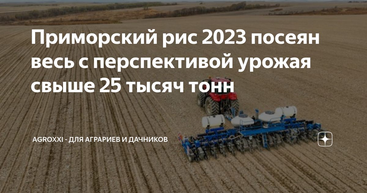Приморский рис 2023 посеян весь с перспективой урожая свыше 25 тысяч ...