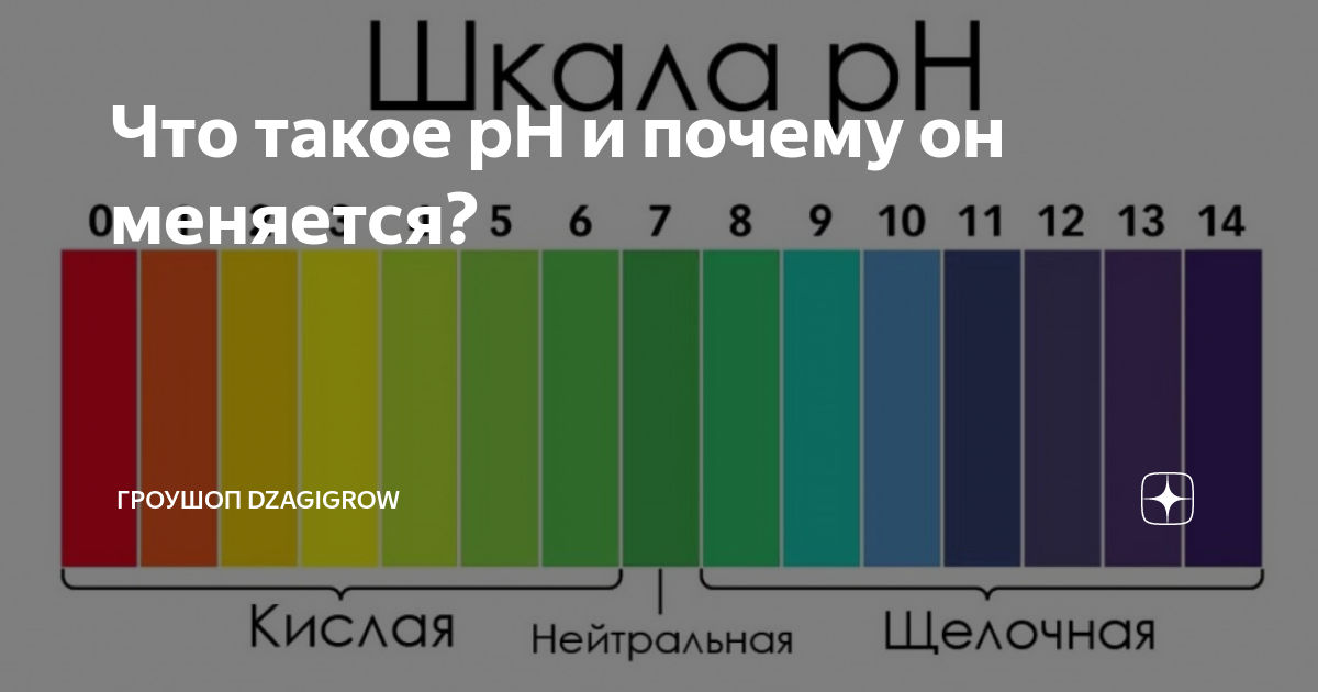 Ph кислая щелочная нейтральная. шкала кислотности ph почвы. кислотность кислой почвы. 5 почвы кислотность. почвы слабокислые и нейтральные.