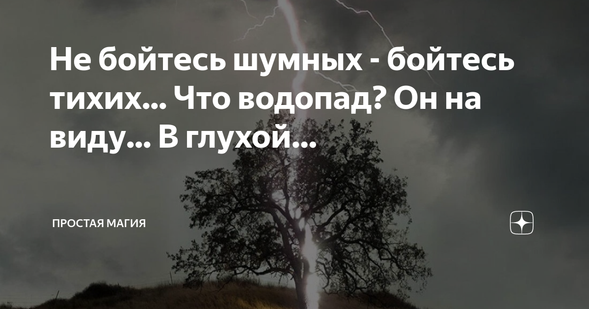 Бойтесь тихих. Статус про тихушников. Статус тихушники. Не бойтесь шумных бойтесь тихих. Бойтесь молчаливого человека.