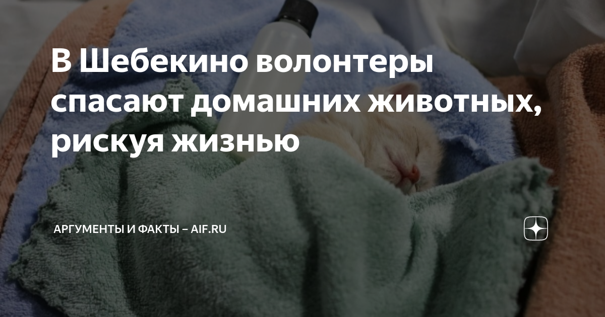 Пример для подражания