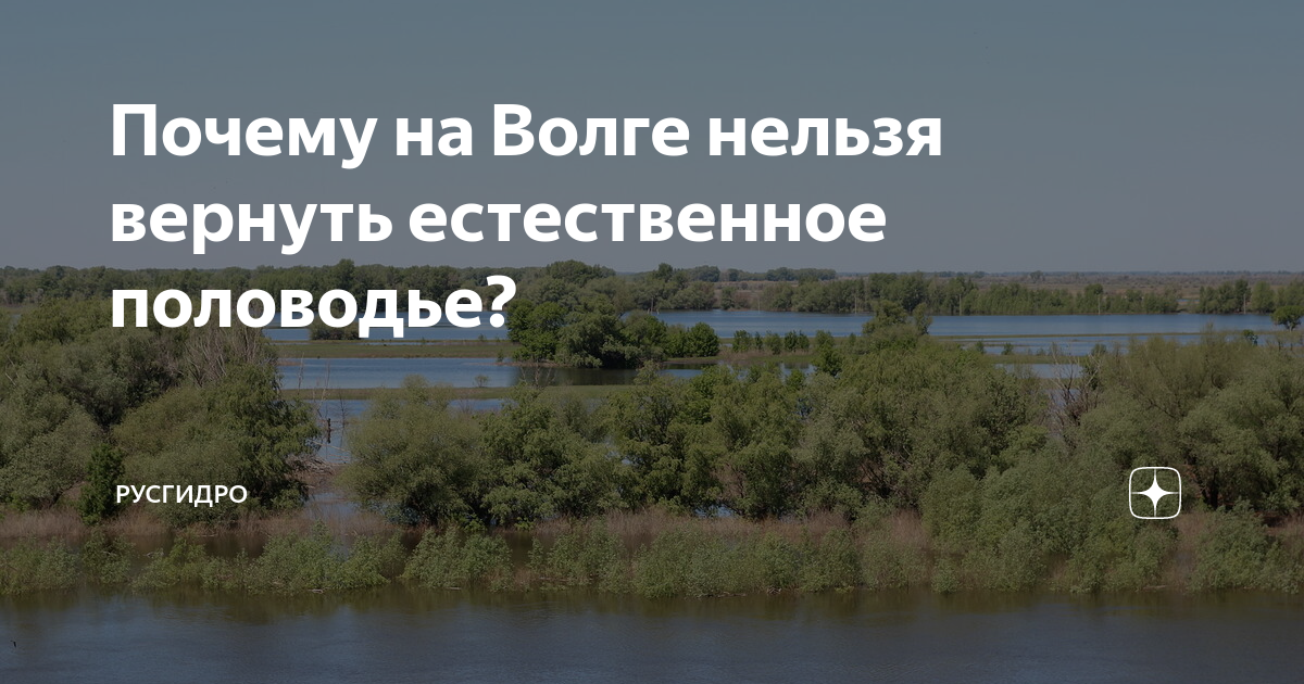 На волге нельзя купаться