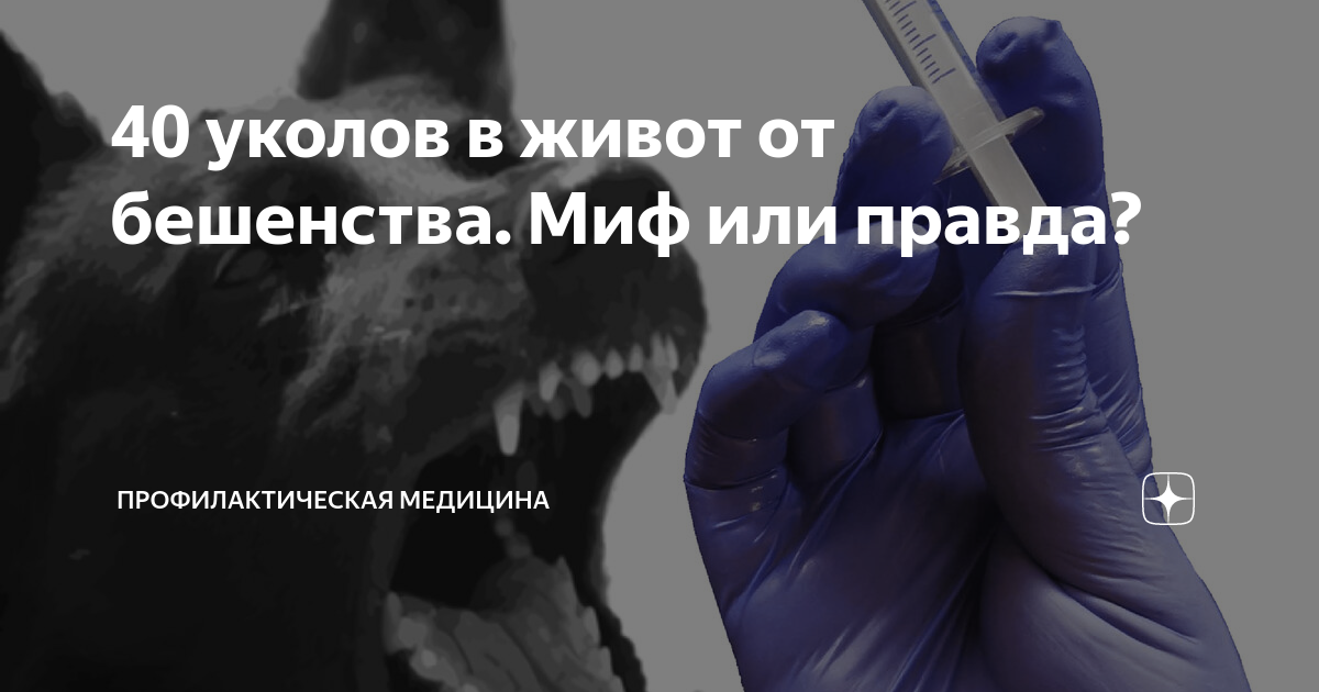 Почему уколы в живот от бешенства. Бешенство фото больных людей. 40 уколов в живот от бешенства миф или правда.