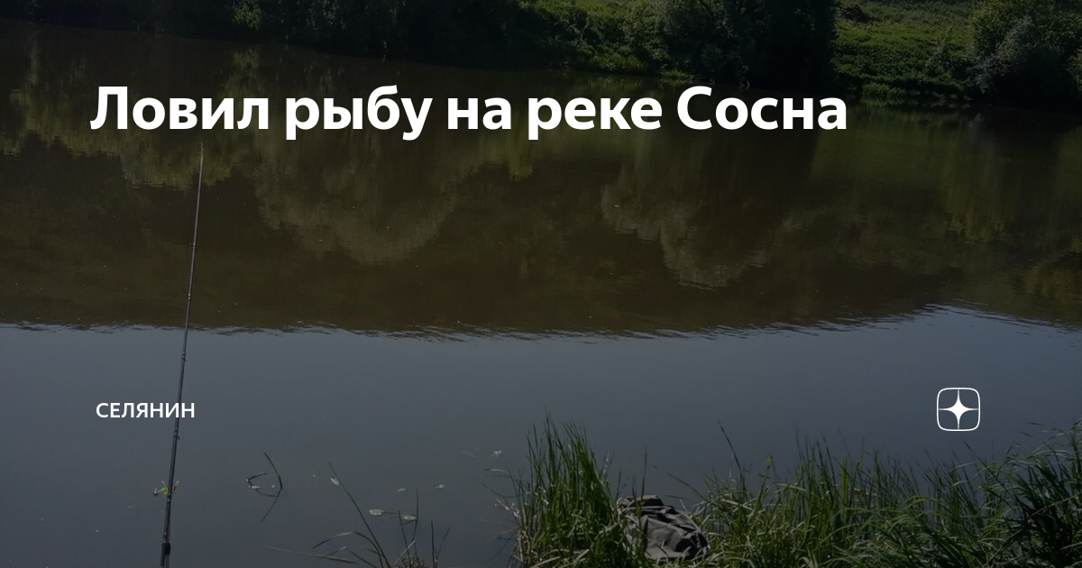 Рыбы реки сосна. Рыбалка в ливнах. Бухта рыбака елец. Рыбалка на щуку. Рыбы реки сосна.