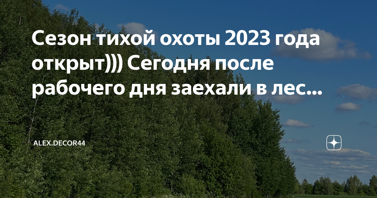 Разобрали инфинити в лесу пока охотились