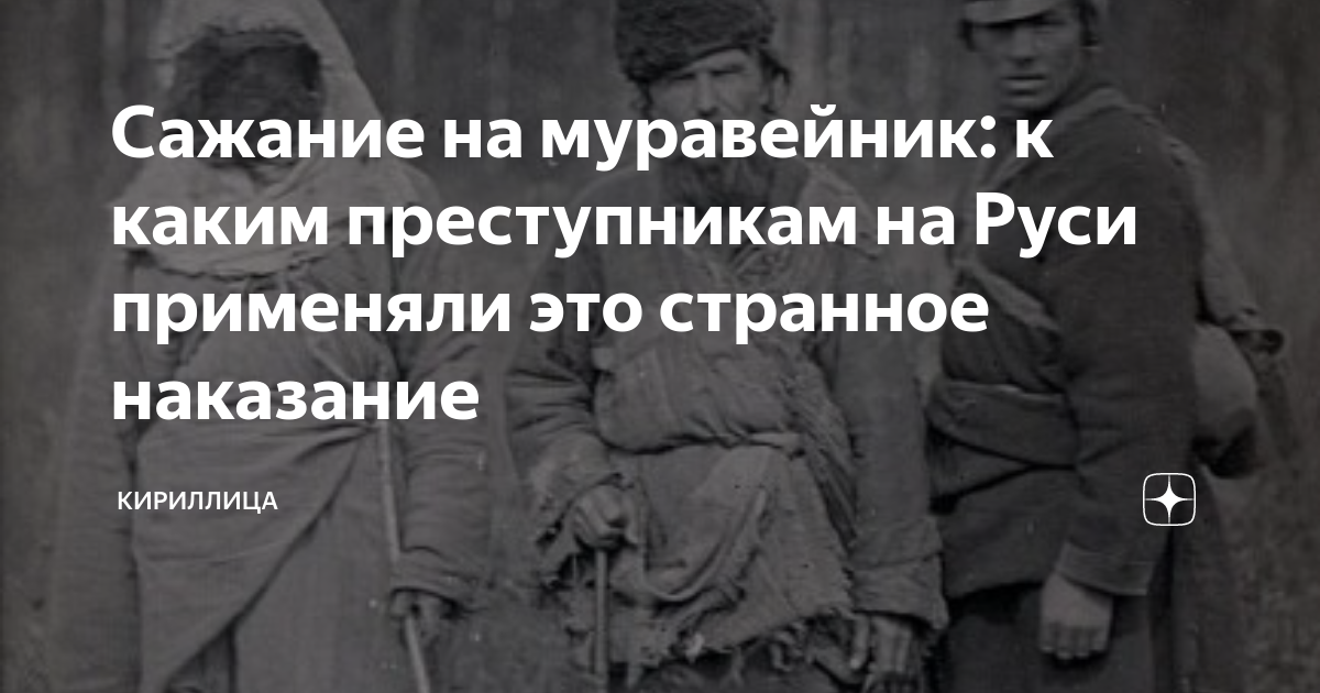 Сажание на муравейник: к каким преступникам на Руси применяли это ...