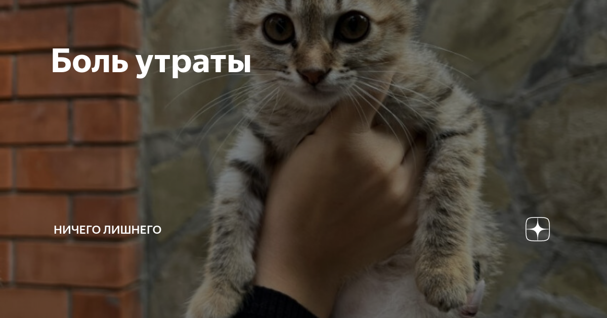 Боль утраты | НИЧЕГО ЛИШНЕГО | Дзен