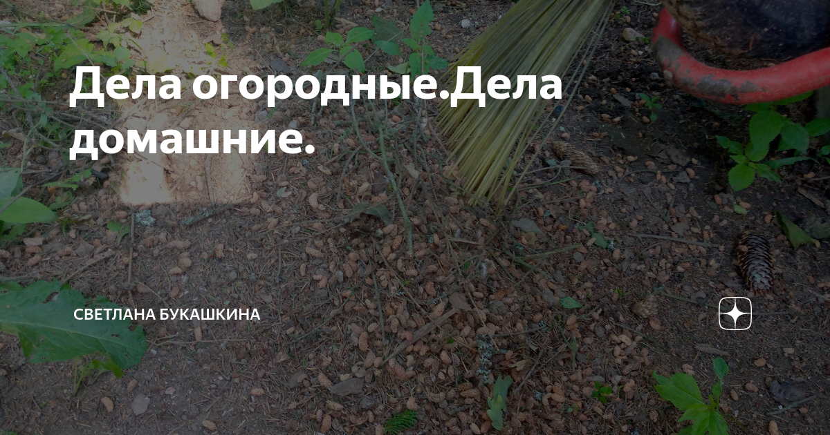 Дела огородные.Дела домашние. | Светлана Букашкина: о загородной жизни ...