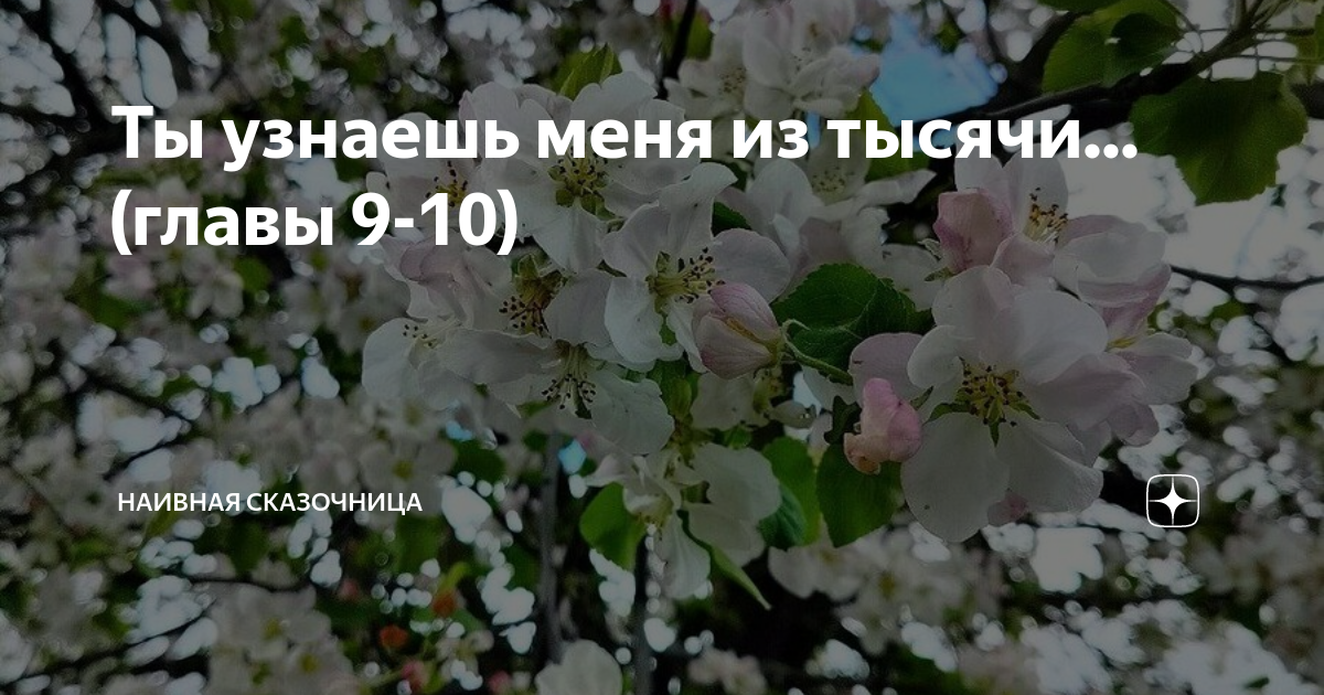 Ты узнаешь меня из тысячи... (главы 9-10) | Наивная сказочница | Дзен