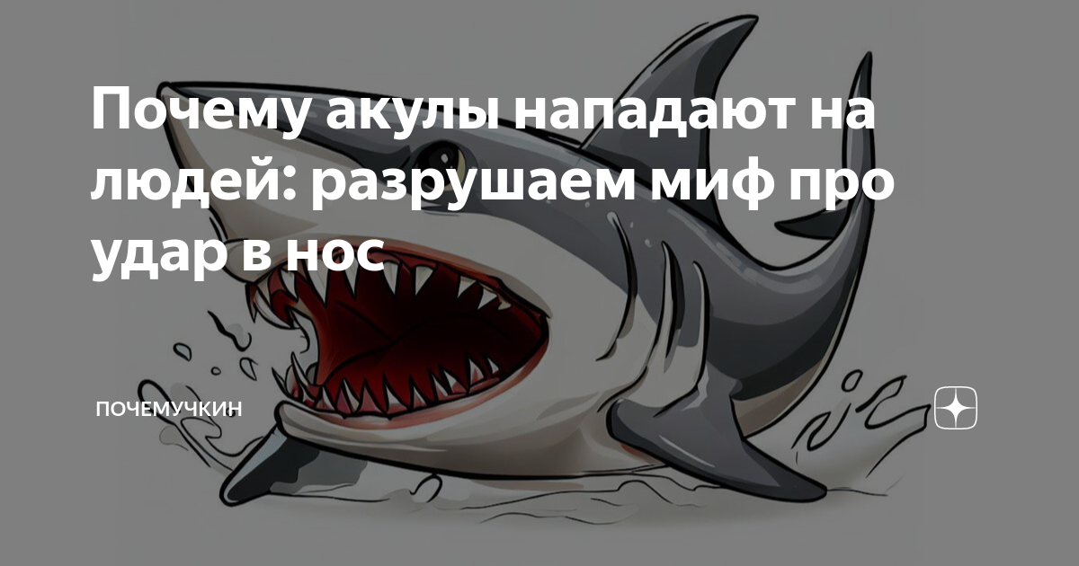 акулы боятся пузырьков правда