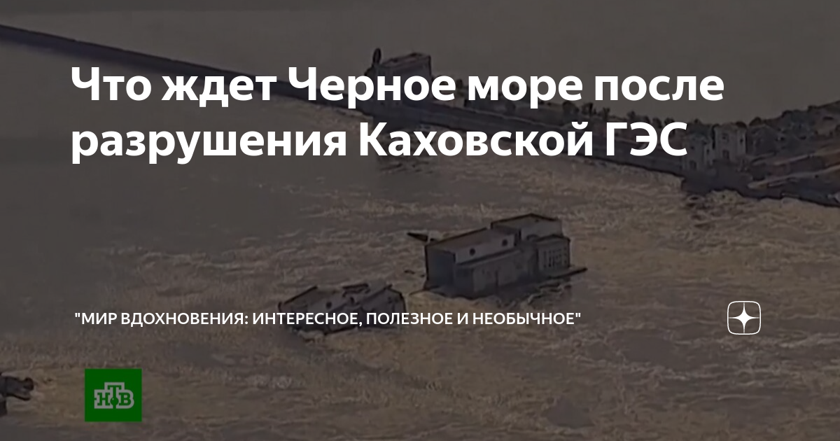 космические снимки каховского водохранилища. зеленое море в одессе. позеленевшие море в одессе сейчас. море после каховской гэс. каховская гэс взрыв.