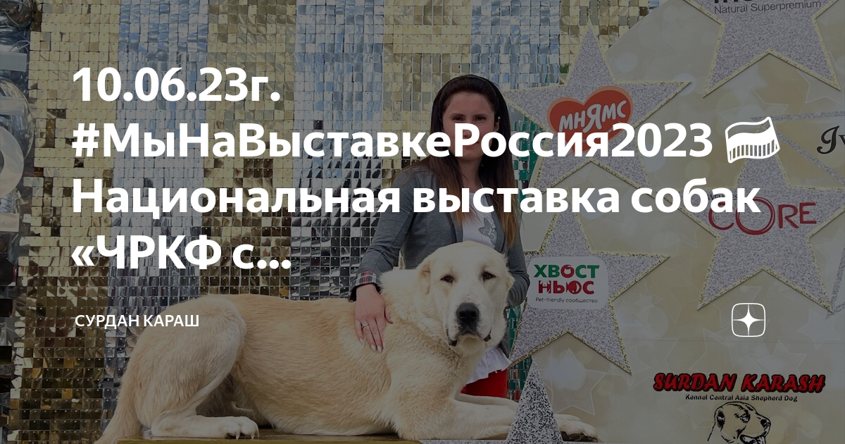 Выставка собак декабрь 2023