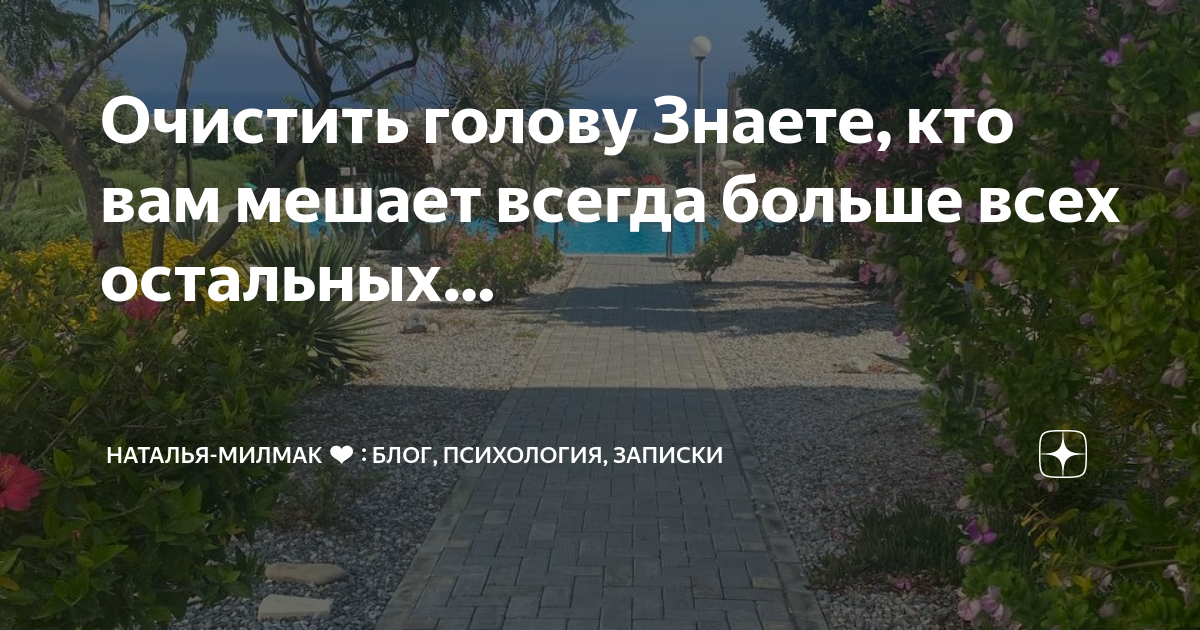 Стартер кто это в психологии