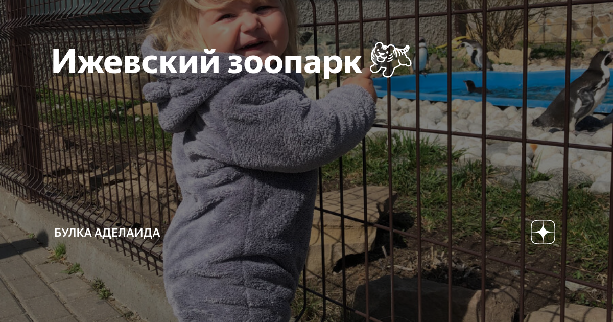 Ижевский зоопарк