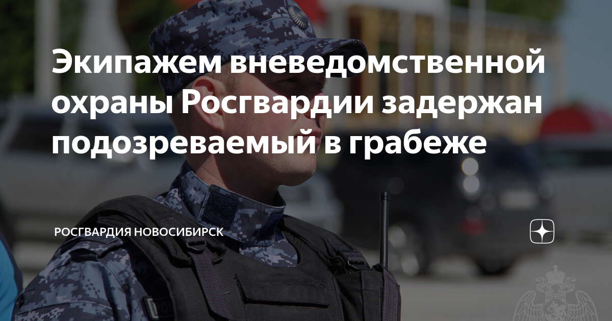 Экипажем вневедомственной охраны Росгвардии задержан подозреваемый в ...