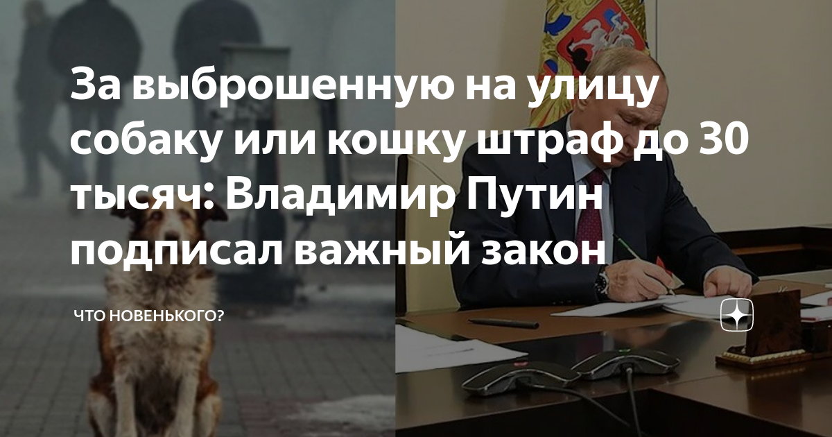 Путин подписал закон об ужесточении наказания за вождение в пьяном виде