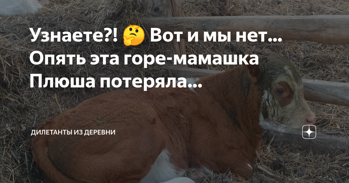Мать евгения гора