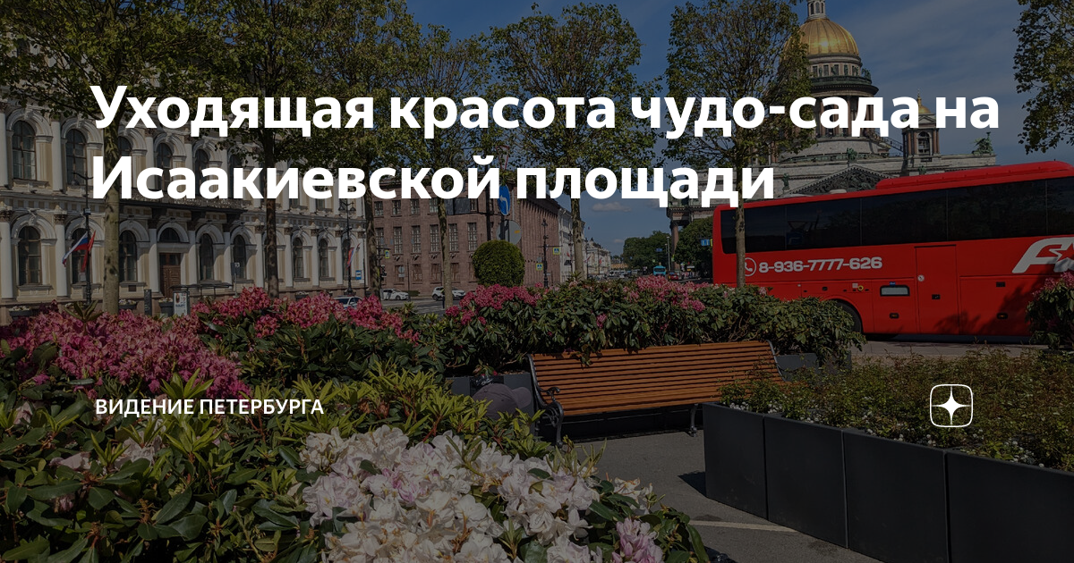 Видение в петербурге. Видение в петербурге. Видение в петербурге. Питерские фотографы известные. Ночной исаакиевский собор.