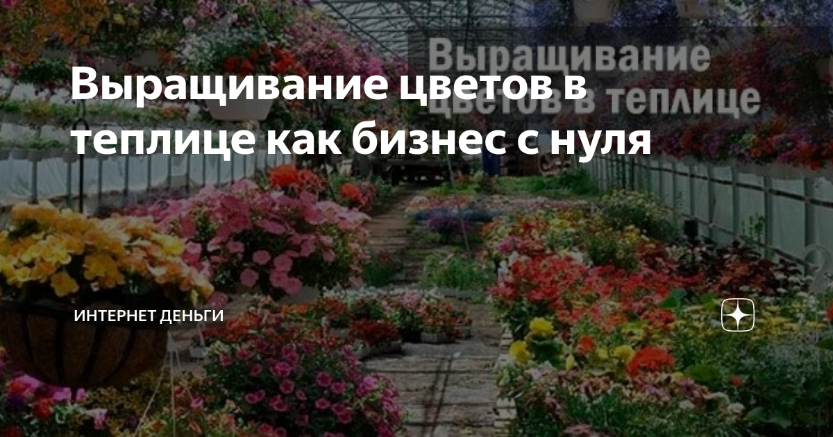 Как построить сибирскую теплицу: советы по обустройству конструкции “для крутых морозов”