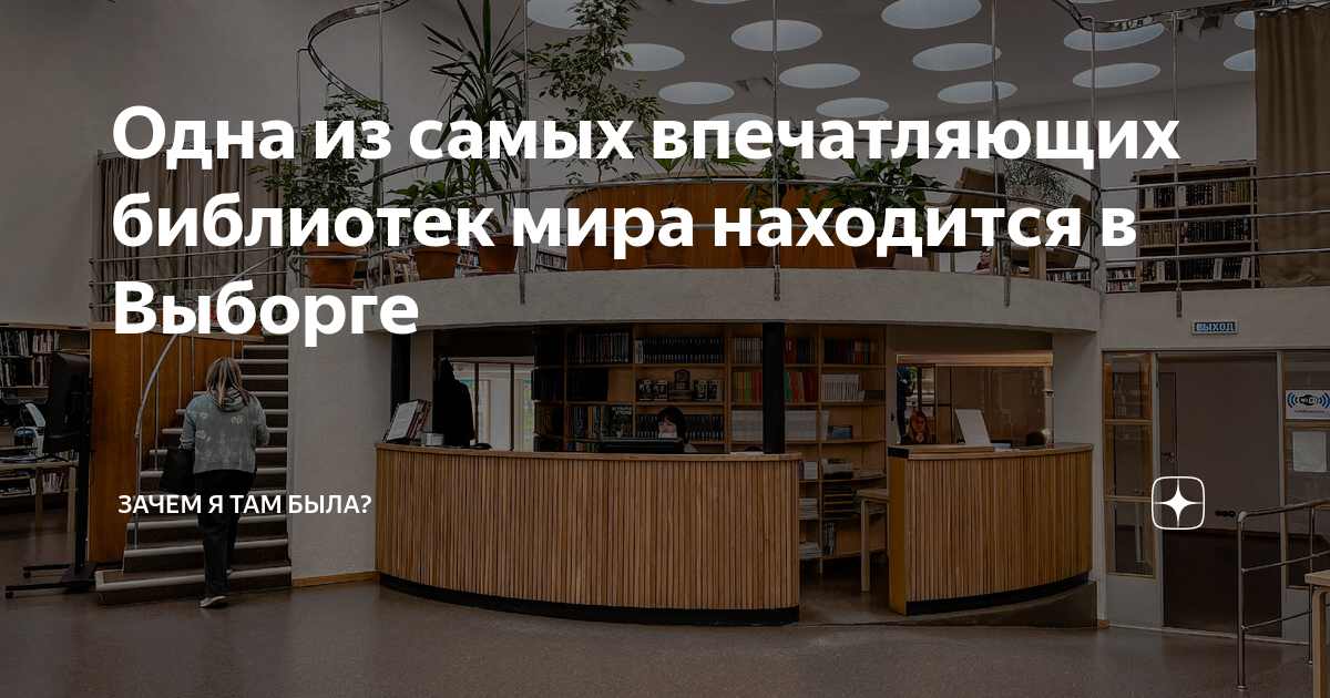 в библиотеке читателю предложили на выбор из новых поступлений