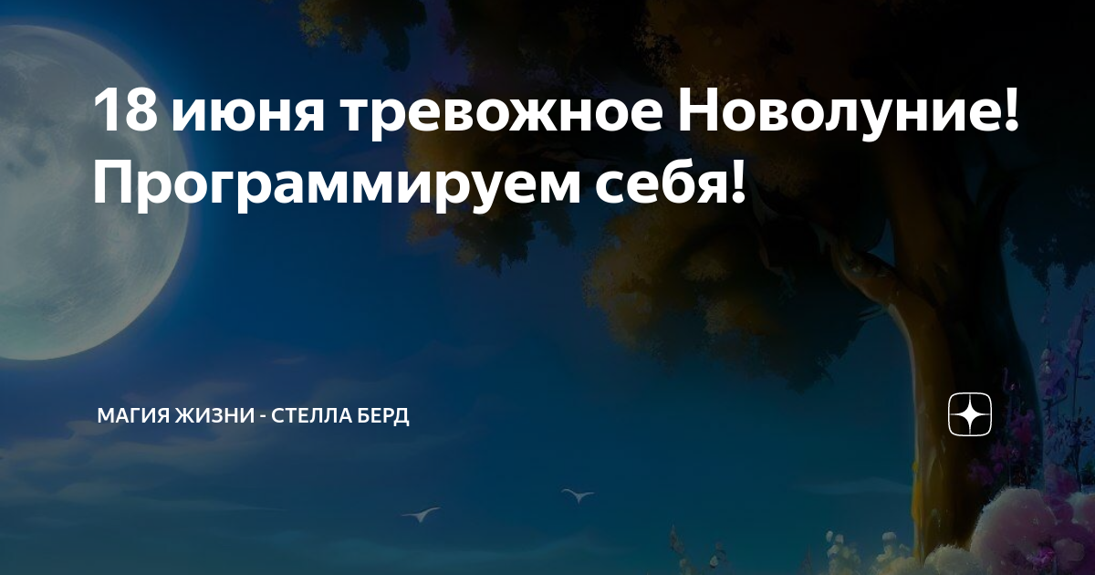 Тревожный 2023 год. Состояние загнанного зверя. Летом постоянно тревога. «одна тревожная ночь». Тревожный 2023 год.