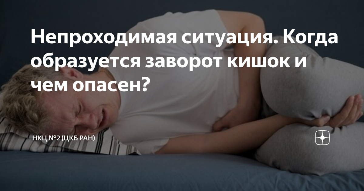 Непроходимая ситуация. Когда образуется заворот кишок и чем опасен ...