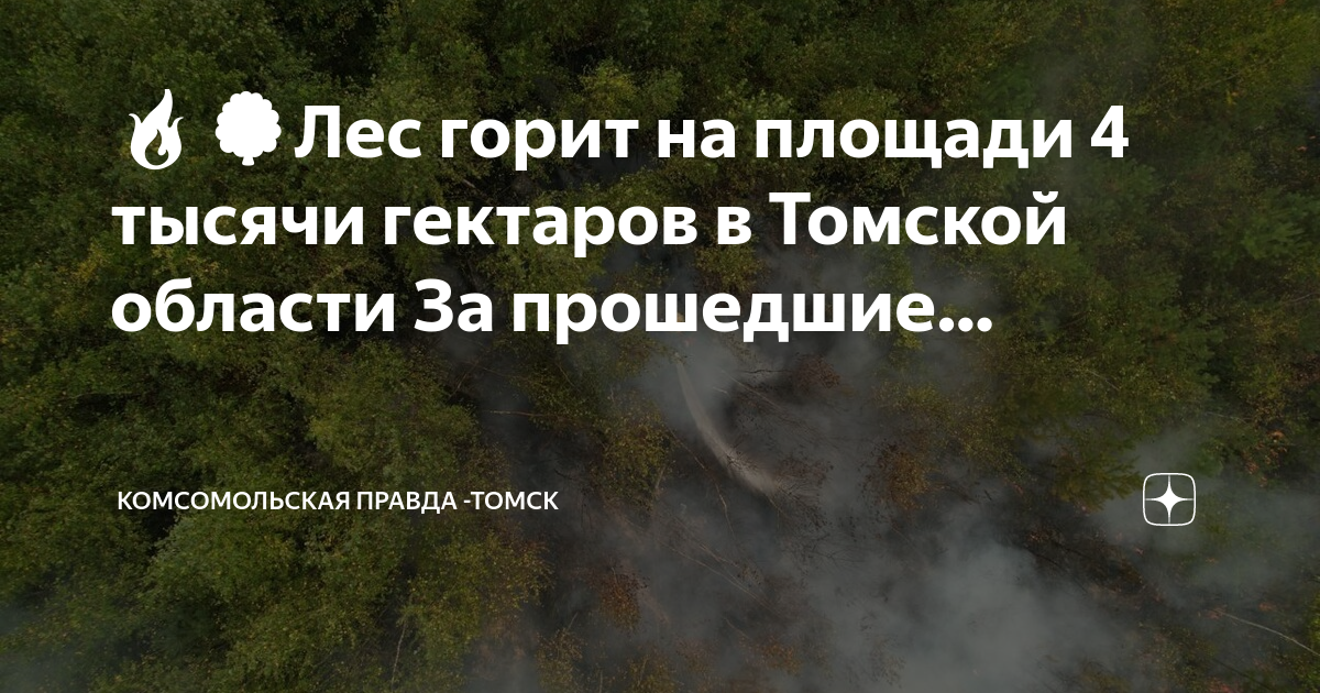 Карта лесных пожаров томская область
