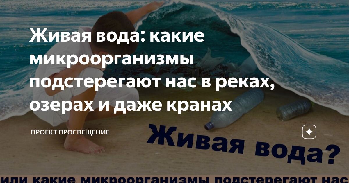 Проект чистая вода ярославская область