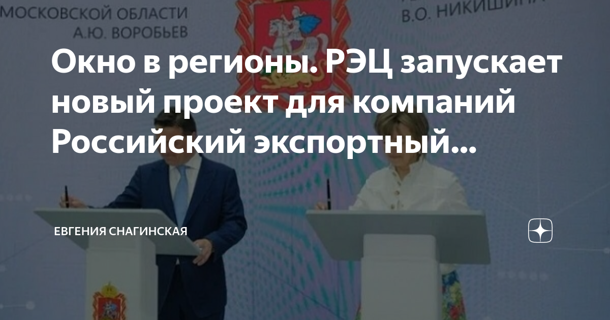 Одно окно рэц презентация