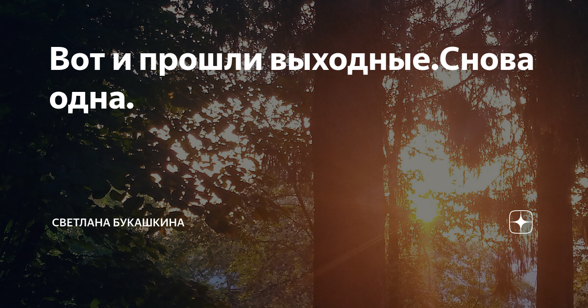 Вот и прошли выходные.Снова одна. | Светлана Букашкина | Дзен