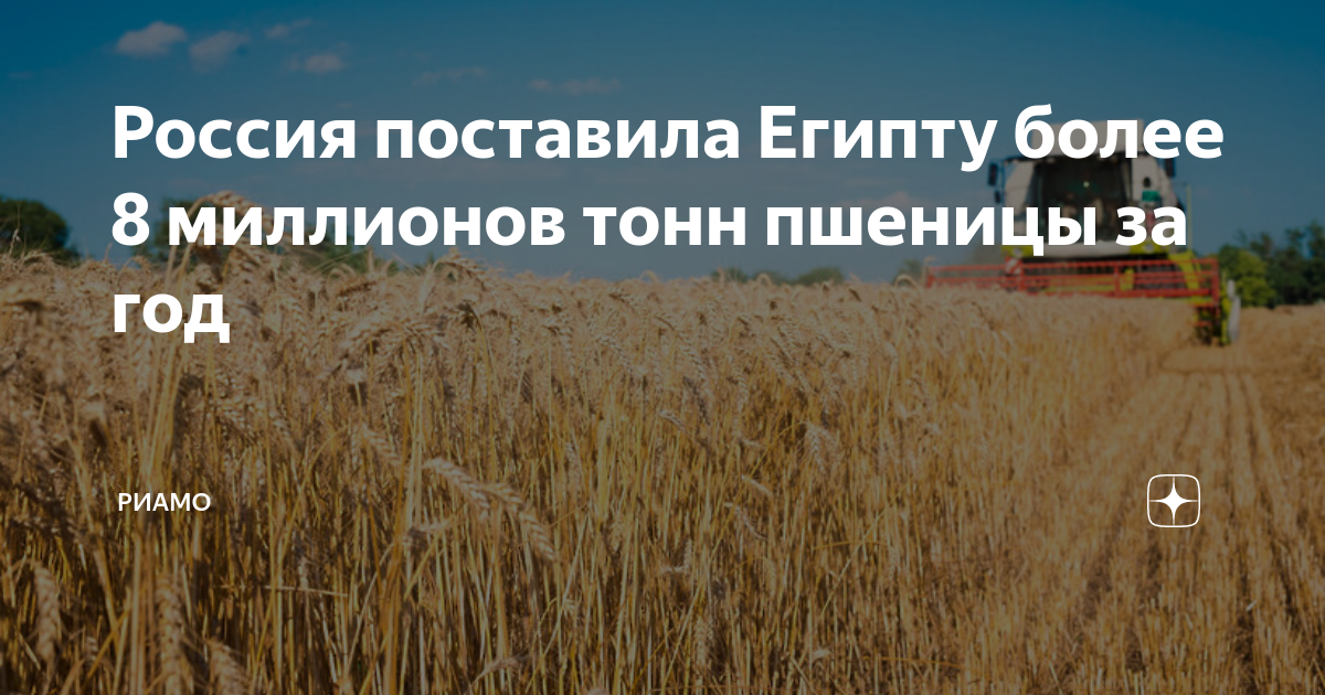 На диаграмме показаны объемы производства пшеницы с 1 июля 2017 года по 30 июля