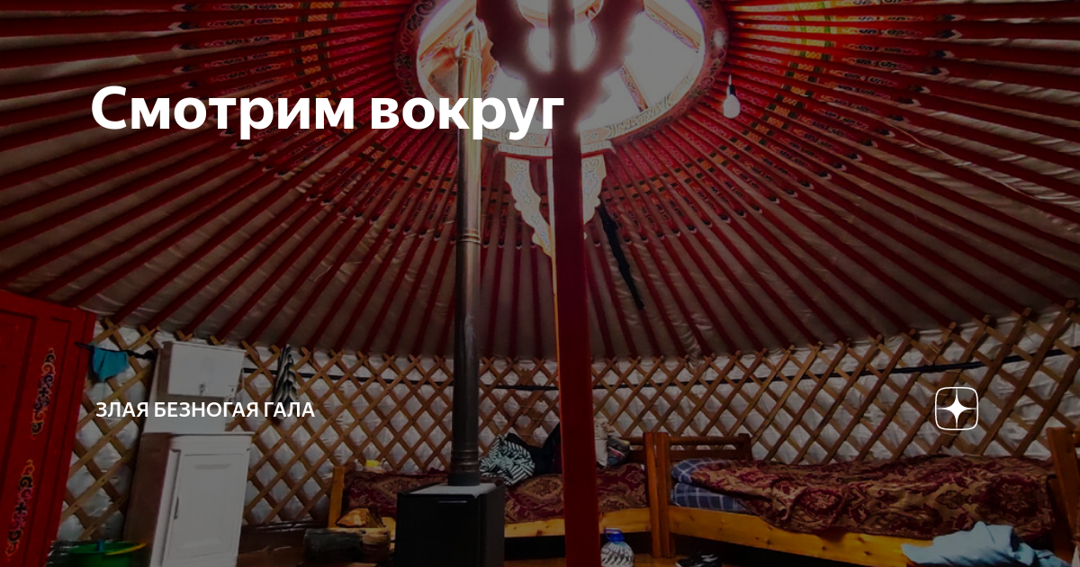 Смотрим вокруг | Злая безногая ГАЛА | Дзен