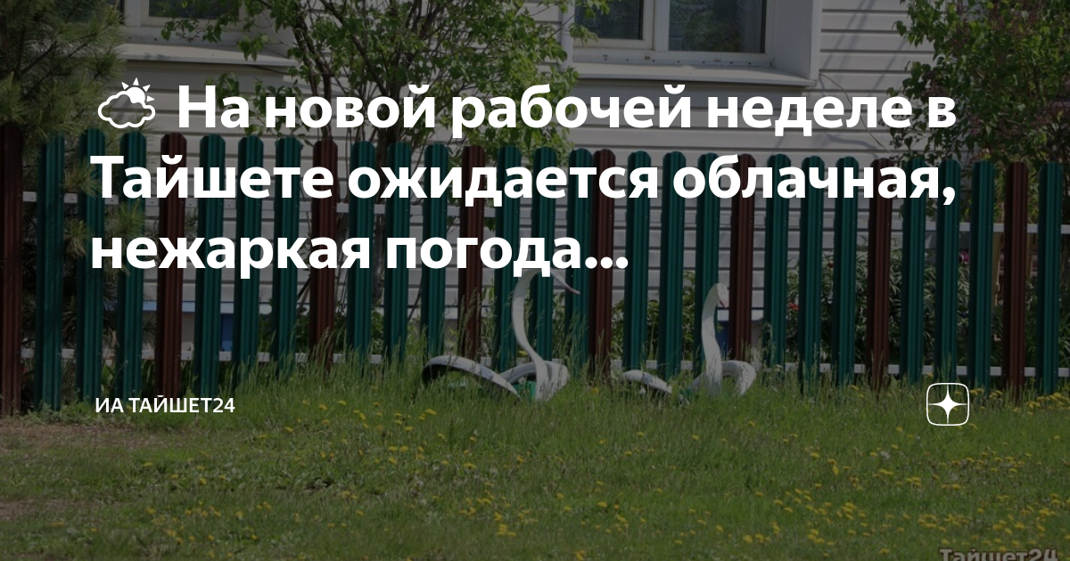 Погода в тайшете карта