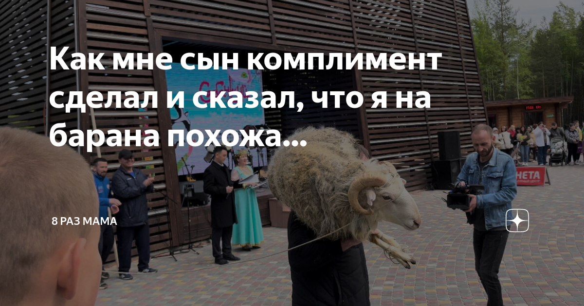 Как мне сын комплимент сделал и сказал, что я на барана похожа… | 8 раз ...