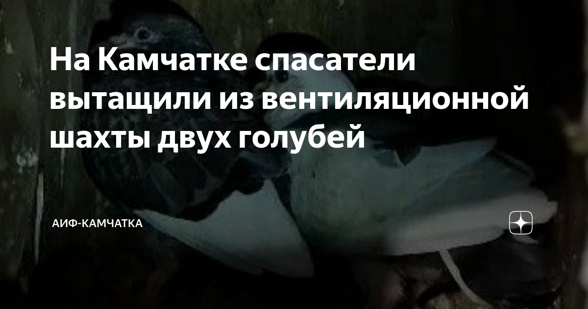 Ук камчатка проект
