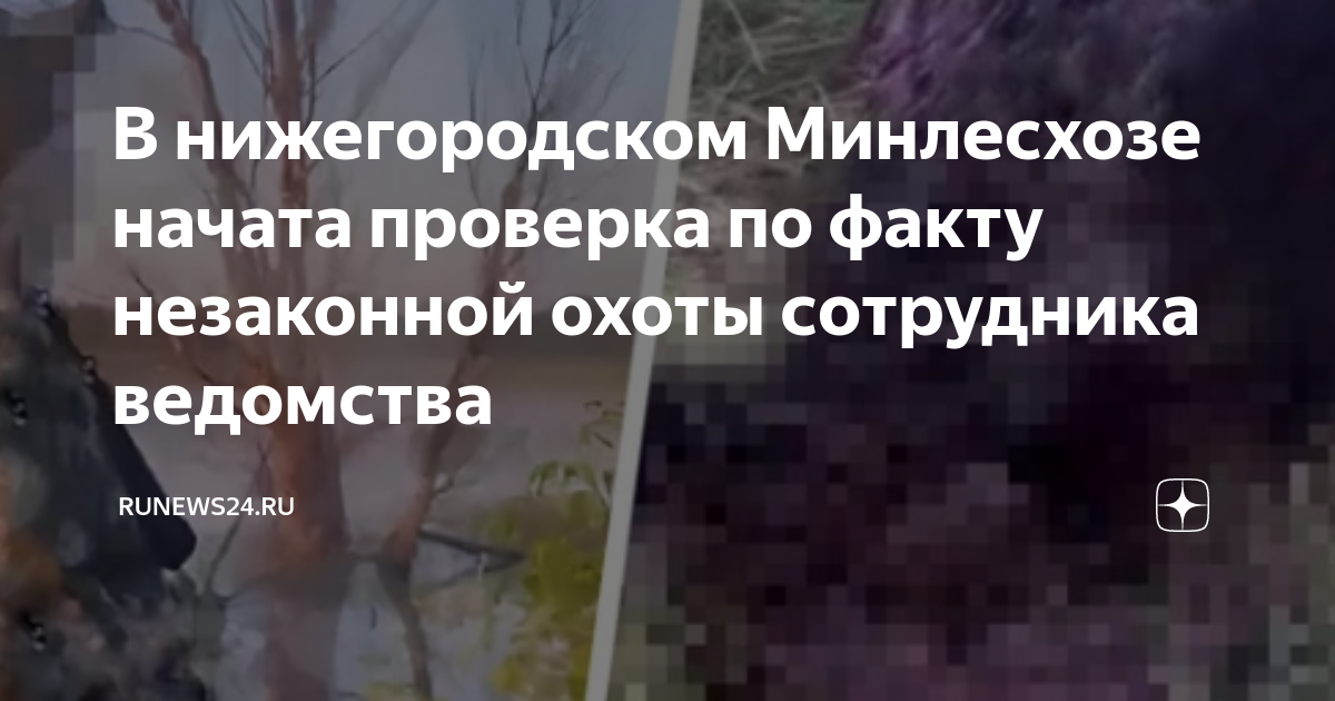 Карта медведей в нижегородской области