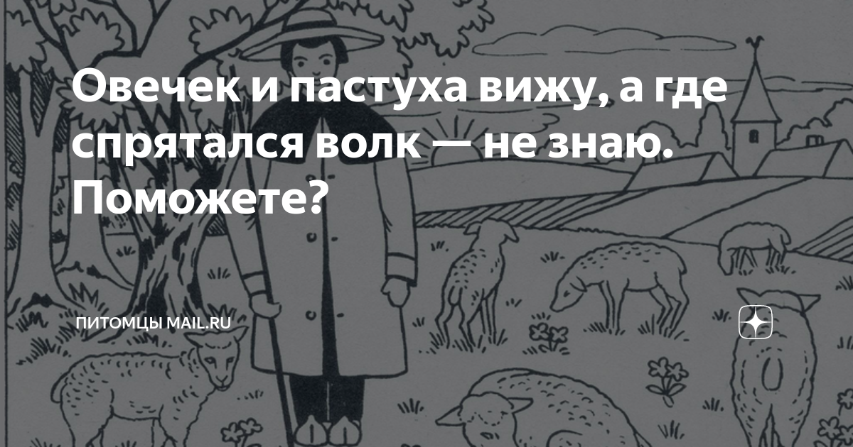 что делать если у овцы не вышел послед