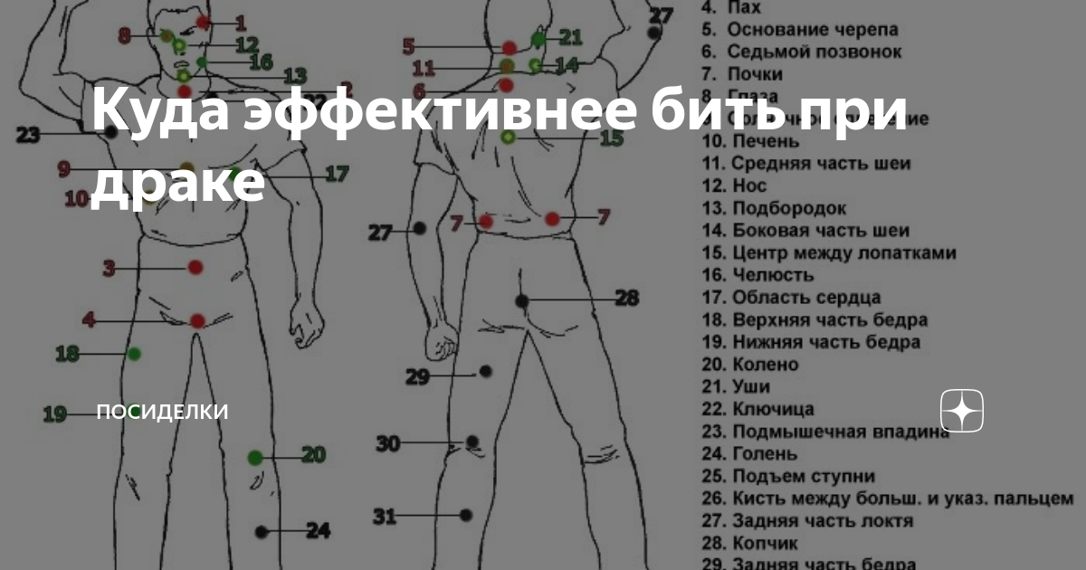 Схемы расположения органов и руководство по поиску лечебных точек