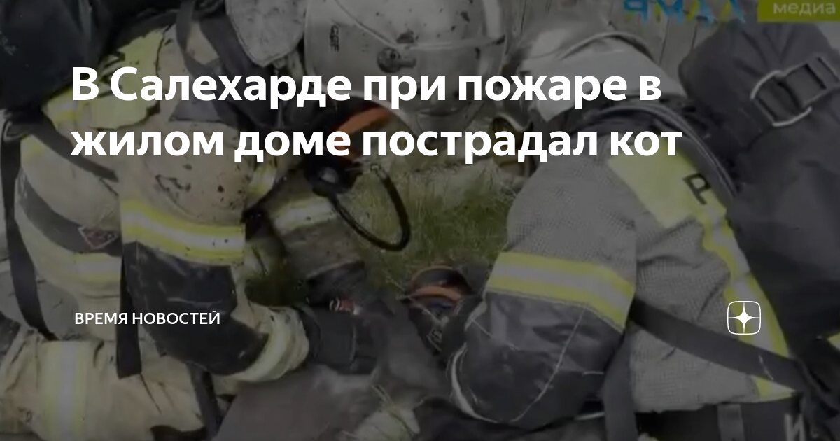 Маяковского 44 салехард карта