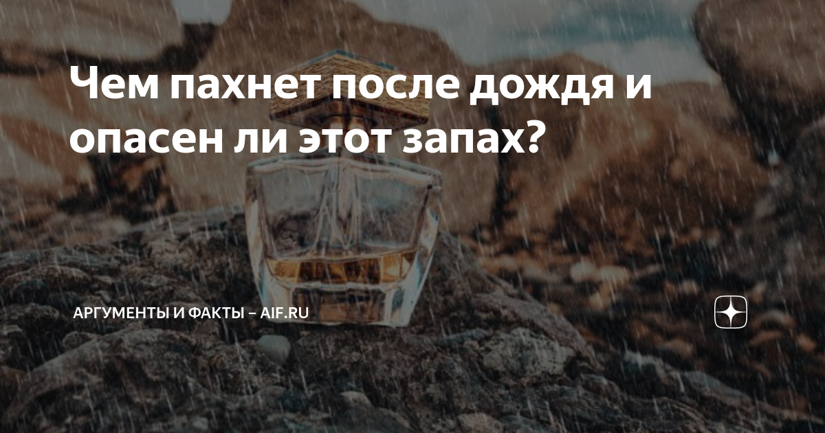 Чем пахнет после дождя и опасен ли этот запах? | Аргументы и факты ...