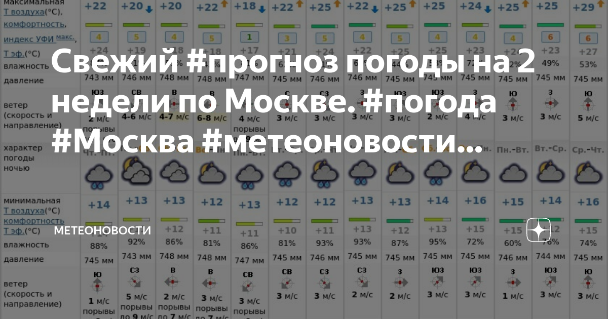 Лето 2024 прогноз погоды москва