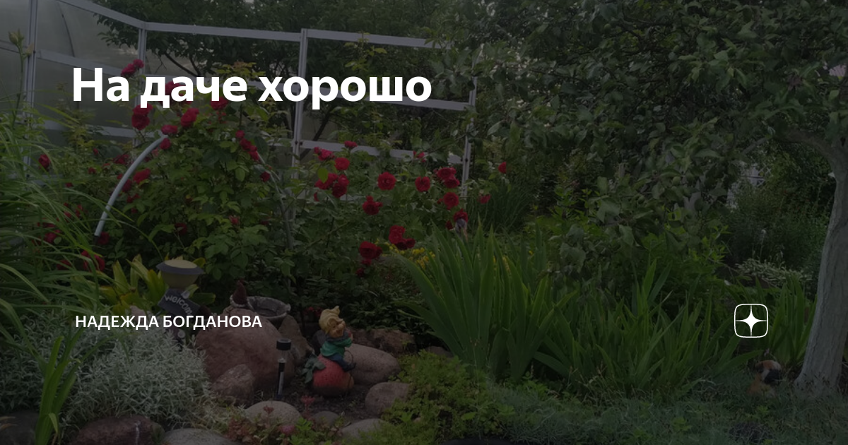 На даче хорошо | Надежда Богданова | Дзен