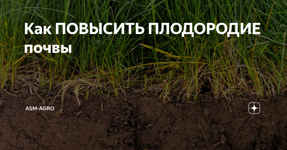 Как повысить плодородие почвы. От чего зависит плодородие почвы. Как повысить плодородность почвы. Какие животные увеличивают плодородие почвы.