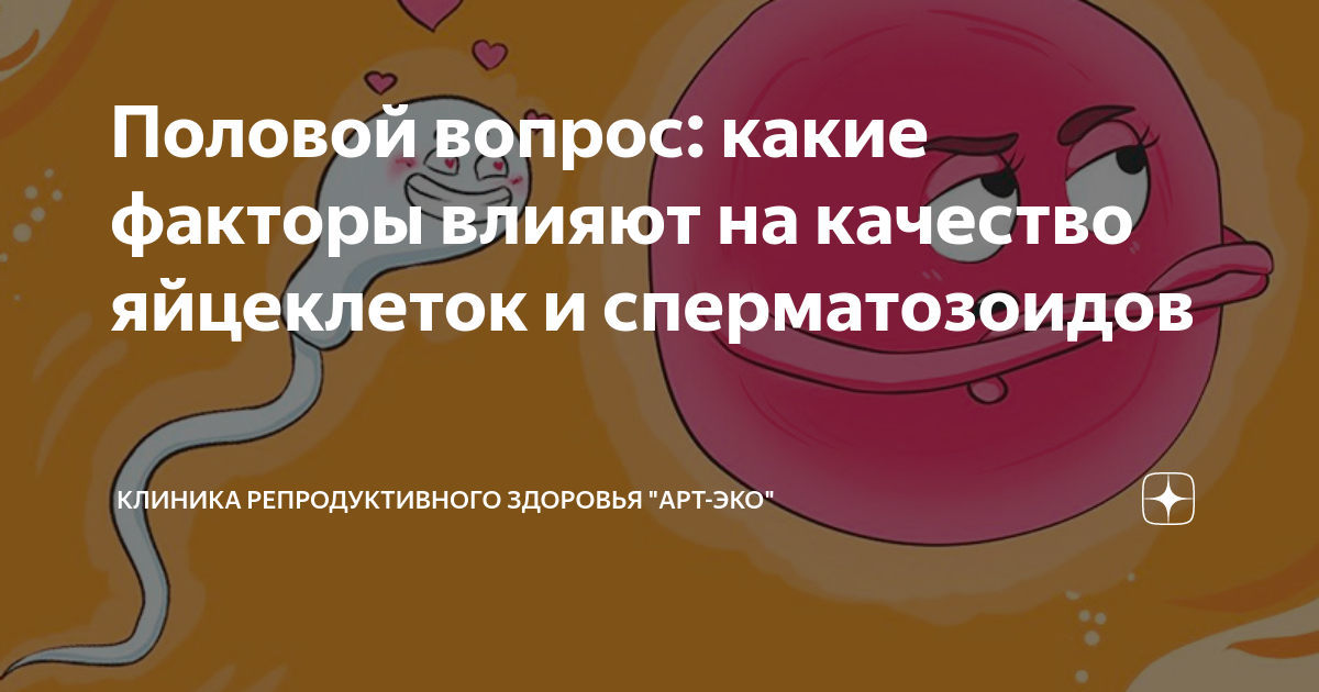 «Польза спермы для женского организма – это миф»: интервью с андрологом - best-apple.ru