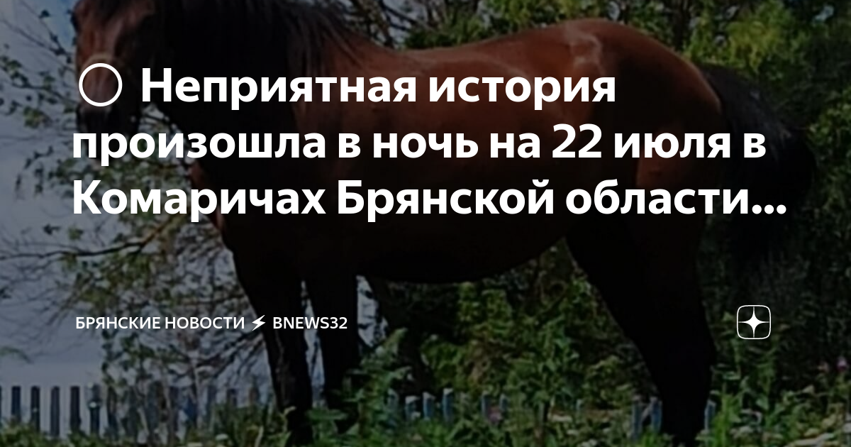 «невидимые миру слезы». Неприятная история. Неприятная история. Чехов неприятность. Чехов со слезой.