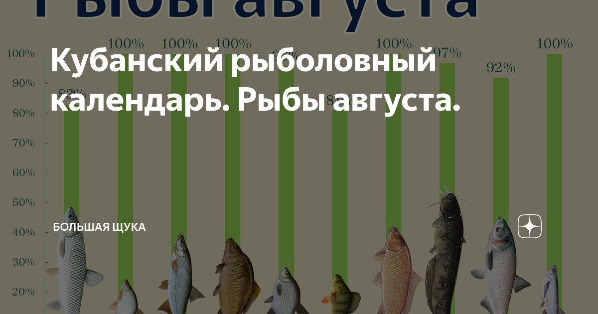 Клев рыбы в августе 2024